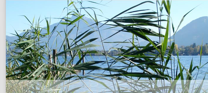 Urlaub im Hotel & Gasthof direkt am Mondsee im Salzkammergut. Hotel & Restaurant Lackner in Mondsee informiert �ber Zimmer & Preise, die Speisekarte des Gourmet Restaurant, Weinkarte & Vinothek, Ausflugsziele & Kultur in Salzburg und Salzkammergut sowie Pauschalen und Angebote f�r Ihren Sommerurlaub & Winterurlaub in Mondsee im Salzkammergut.