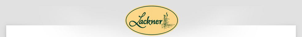 Hotel Mondsee : Seegasthof, Hotel & Restaurant Lackner in Mondsee : Urlaub im Salzkammergut