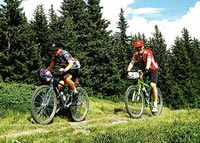 Radfahren : Salzkammergut Mondsee
