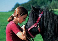 Reiten Mondsee, Salzkammergut